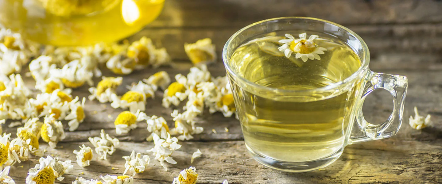 Sinuzite karşı Papatya Buharı